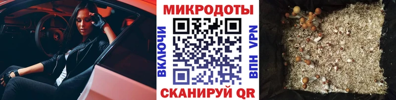 где найти   Гаврилов Посад  МЕГА зеркало  Галлюциногенные грибы Psilocybe 