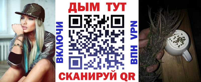 Бошки Шишки марихуана  Гаврилов Посад 